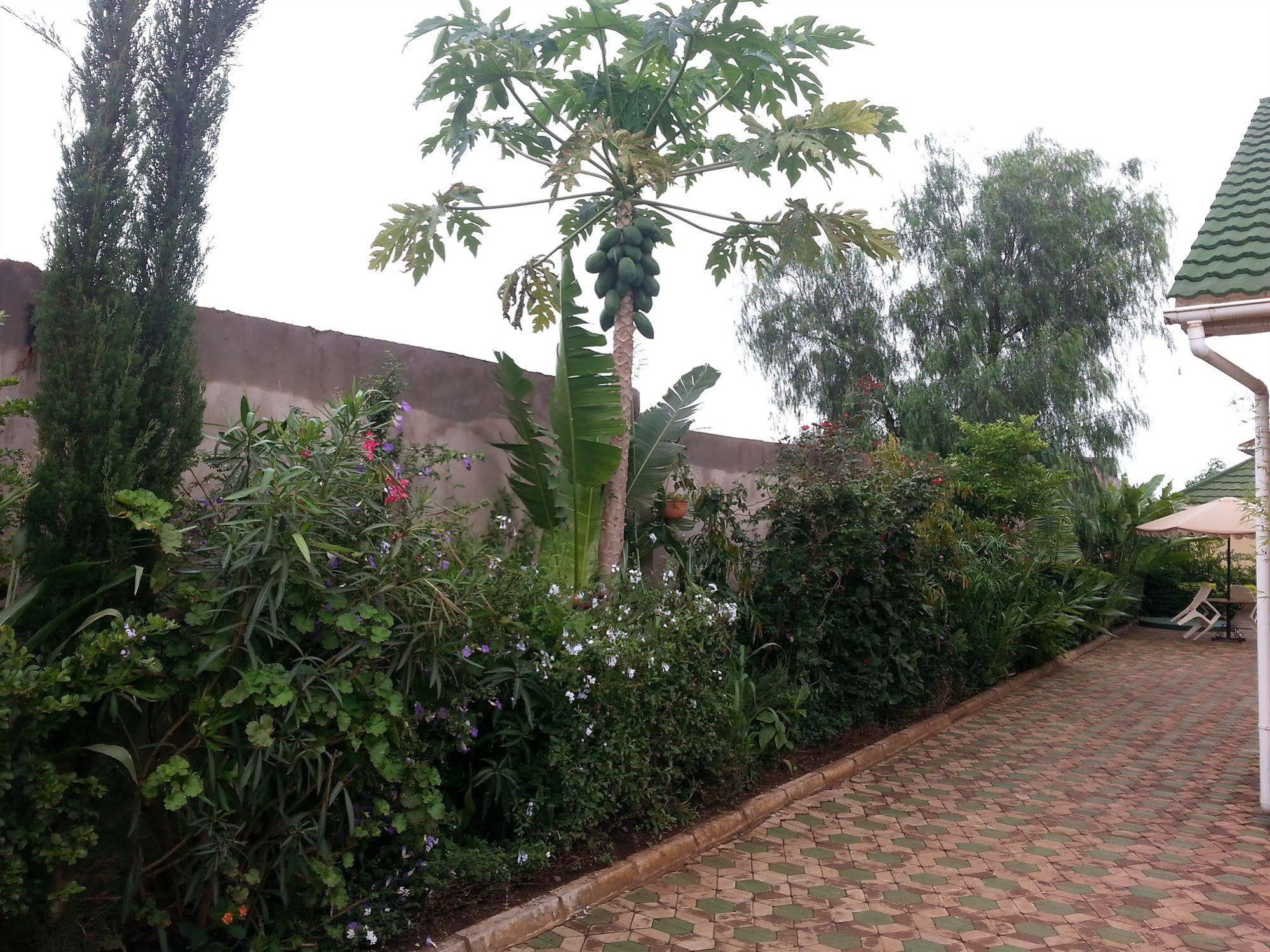 Korona House Hotel Arusha Eksteriør billede